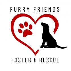 furry friends foster logo