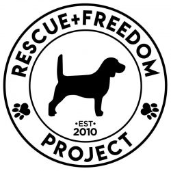 The Brave Files Podcast Charity of the week, Rescue + Freedom Project