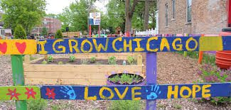 Love, hope and peace grow in this Chciago community once plagued by violence. The Brave Files Podcast. I Grow Chicago.