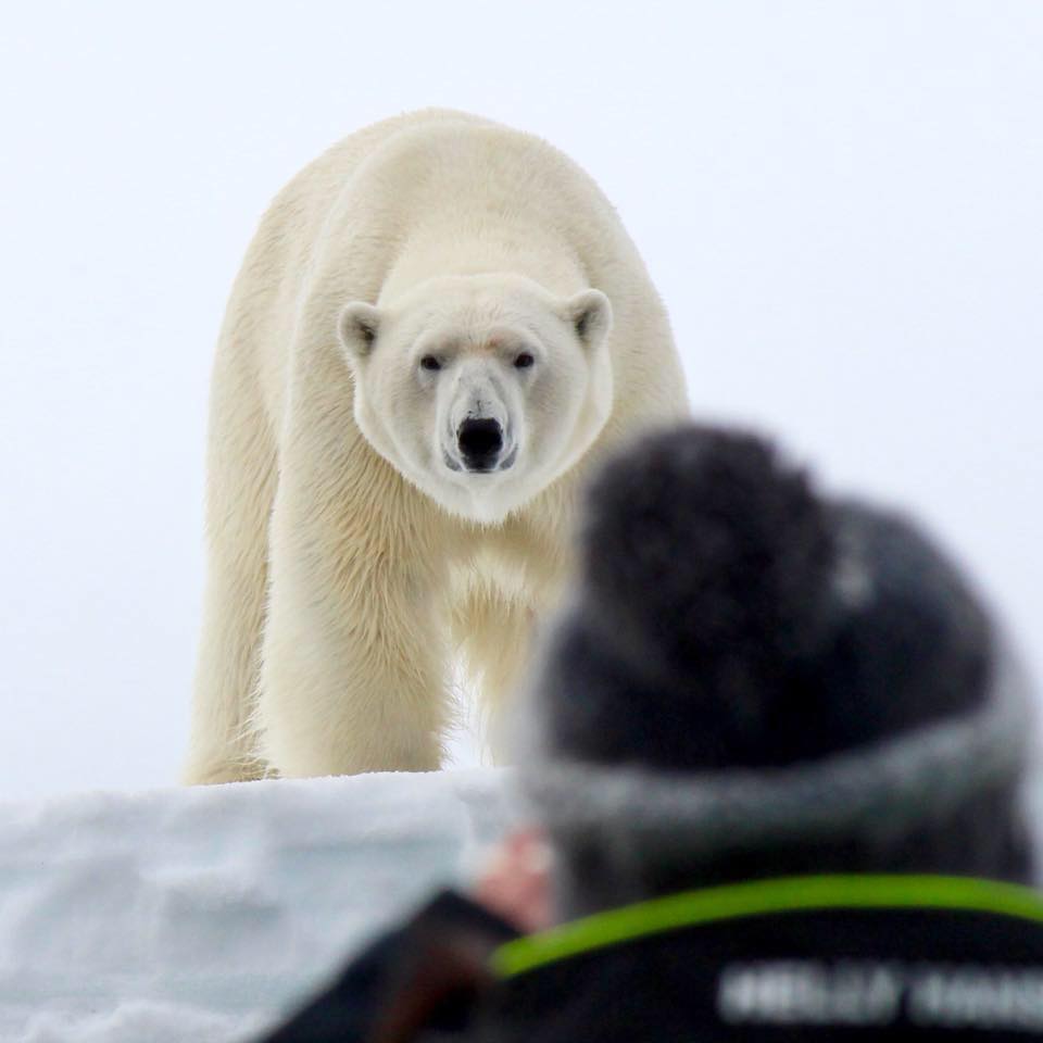 Resilience is a learned behavior. This is a story of hope and resilience. Author, coach, and Arctic expedition guide, Heather Thorkelson joins us to talk about growing up wealthy but severely neglected. This is a story about learned resilience and finding the strength you need from within. The Brave Files Podcast with Heather Vickery.